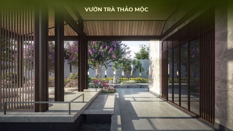 vườn trà thảo mộc