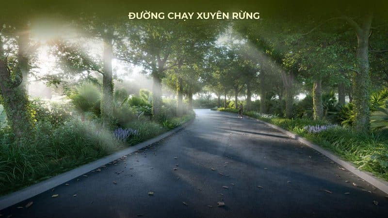 Đường chạy xuyên rừng